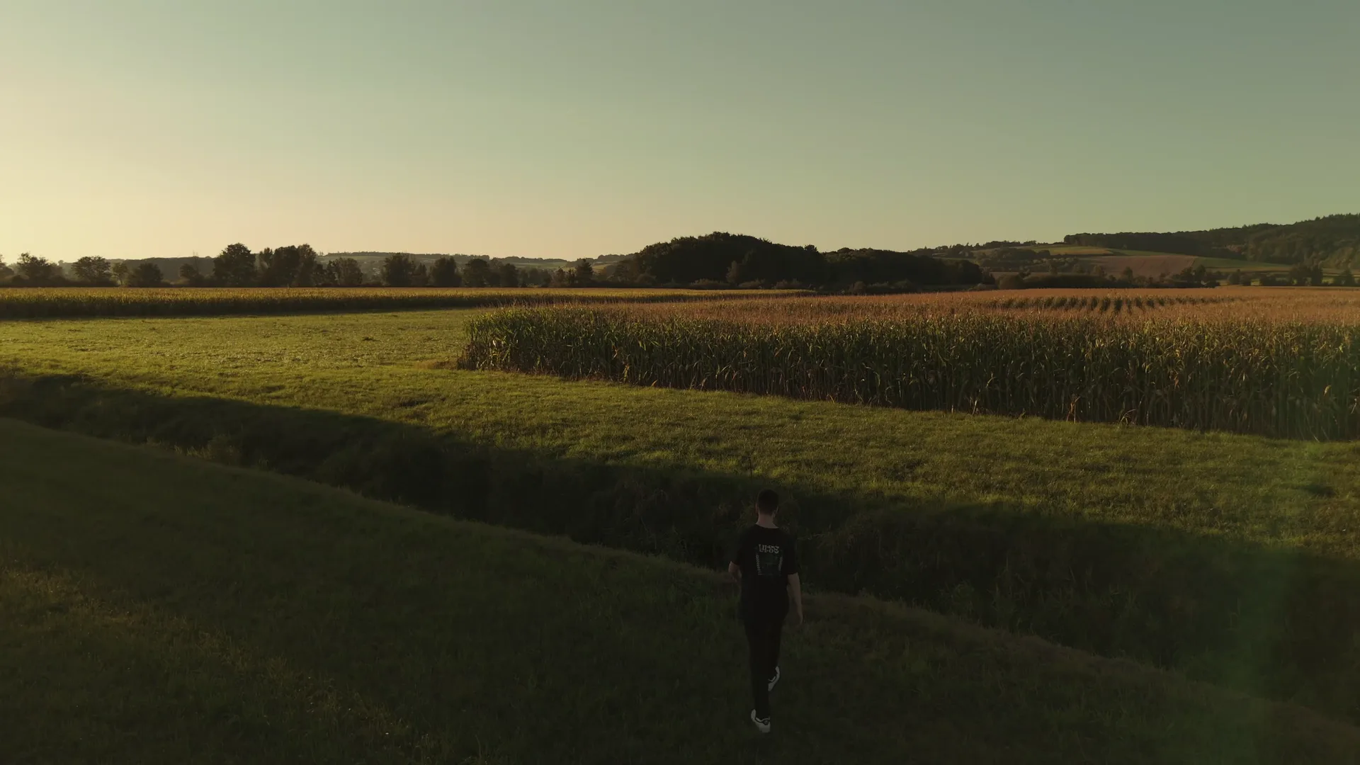 Drone shot from the music video: Tobi walking across a meadow between corn fields in evening light