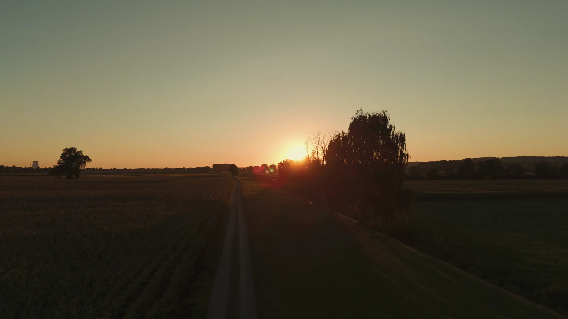 Graded drone frame from the music video: the setting sun over a gravel road between fields, a willow on the right